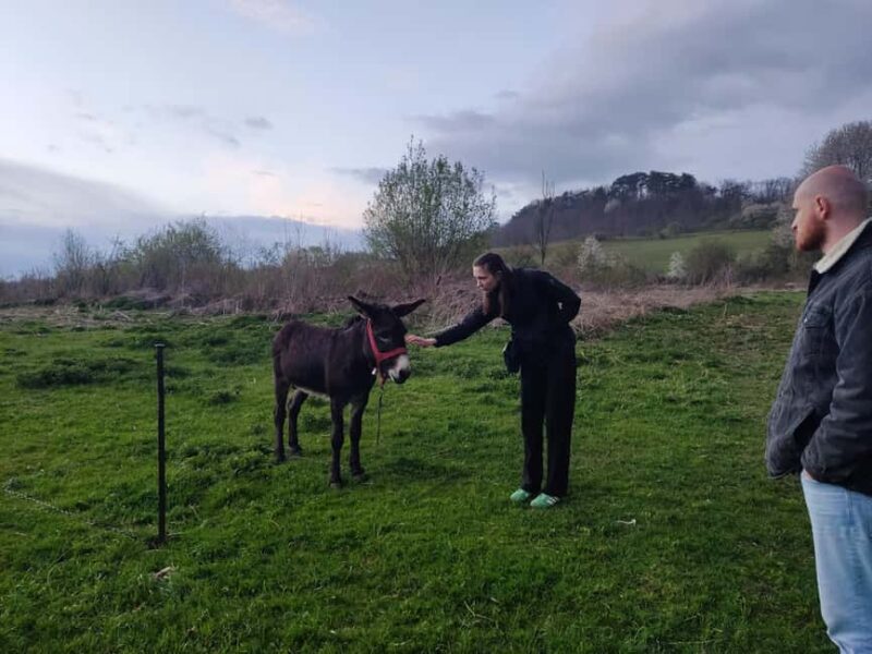 From Sibiu: Villages, Farm Life & Horse Carriage Ride - Starting the Day at Câras 13th-Century Monastery