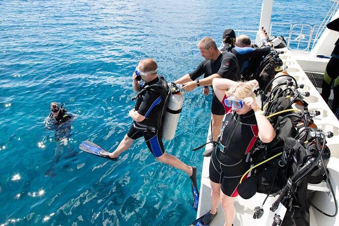 From Side, Alanya: Scuba Diving With 2 Time Dive & Lunch - From the Marina in Alanya to the Diving Sites