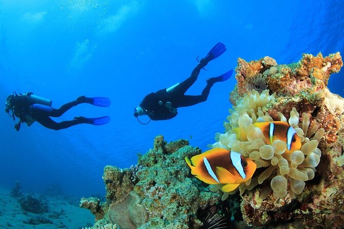 From Side, Alanya: Scuba Diving With 2 Time Dive & Lunch - Savor a Delicious Onboard Lunch