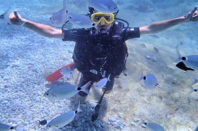 From Side, Alanya: Scuba Diving With 2 Time Dive & Lunch - Swimming, Sunbathing, and Free Time