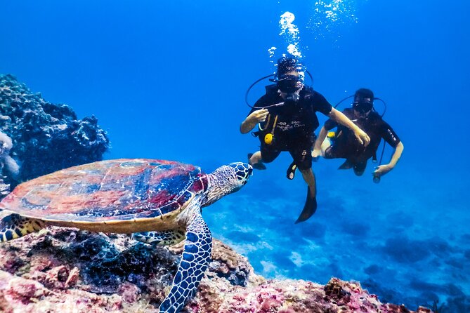 From Side, Alanya: Scuba Diving With 2 Time Dive & Lunch - Important Logistics and Group Size