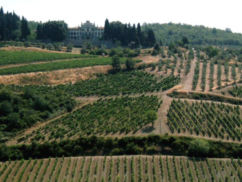From Siena: Chianti and Castles Tour with Wine Tastings - Departure from Siena at a Convenient Central Location