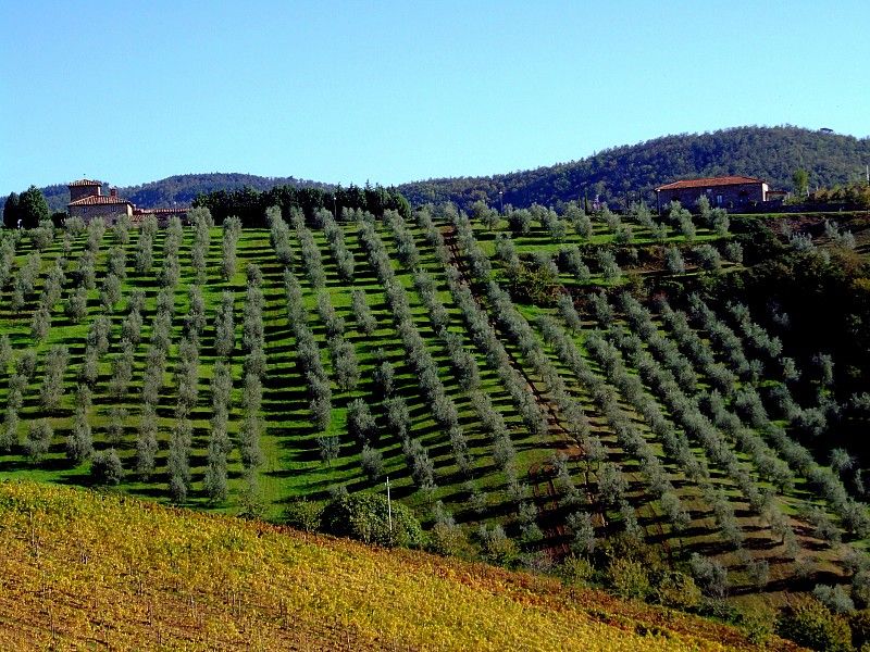 From Siena: Chianti and Castles Tour with Wine Tastings - The Scenic Return to Siena and Tour Duration
