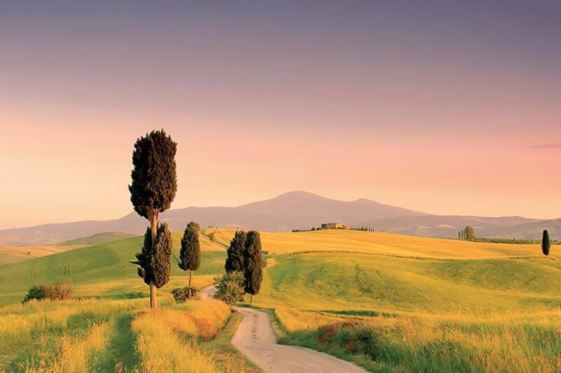 From Siena: Tuscany Hills Small Group Wine Tour - Frequently Asked Questions