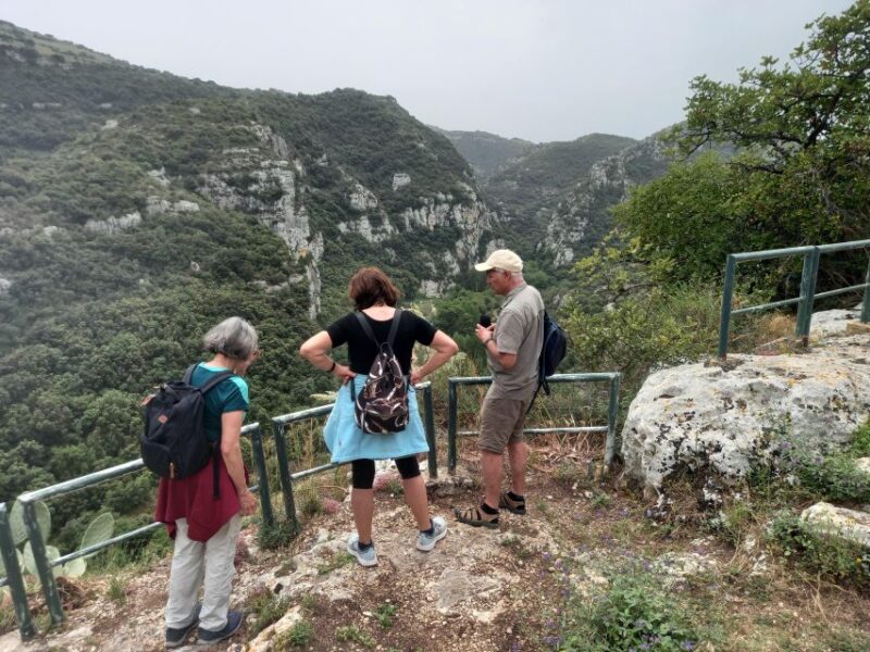 From Siracusa: Pantalica Nature Reserve Guided Hiking Tour - Scenic Walks in Valle dellAnapo