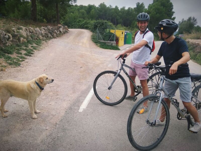 From Sitges: Cycling Tour with Winery visit and Tasting - Visiting a 9-Generation Family Winery in Penedés