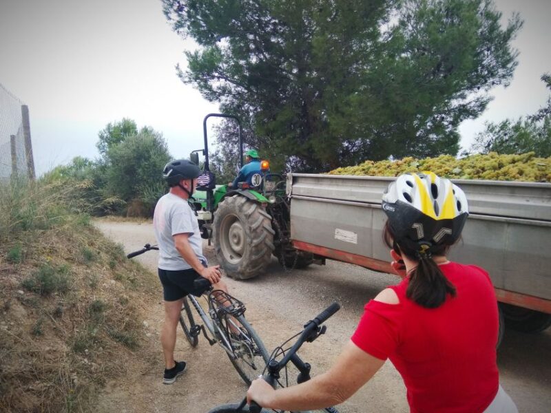 From Sitges: Cycling Tour with Winery visit and Tasting - Why This Tour Stands Out: A Personal Touch in a Historic Family Winery
