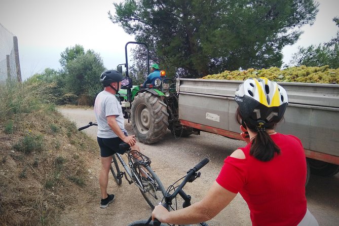 From Sitges: Wine and Bike Tour with hotel pick up. - Cycling Route Through Vineyards and Countryside
