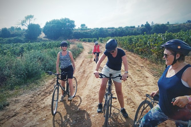 From Sitges: Wine and Bike Tour with hotel pick up. - Tasting Wines and Cava Along the Way