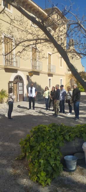From Sitges: Wine Tasting at 2 Wineries with Hotel Pickup - Why This Tour Stands Out in Sitges