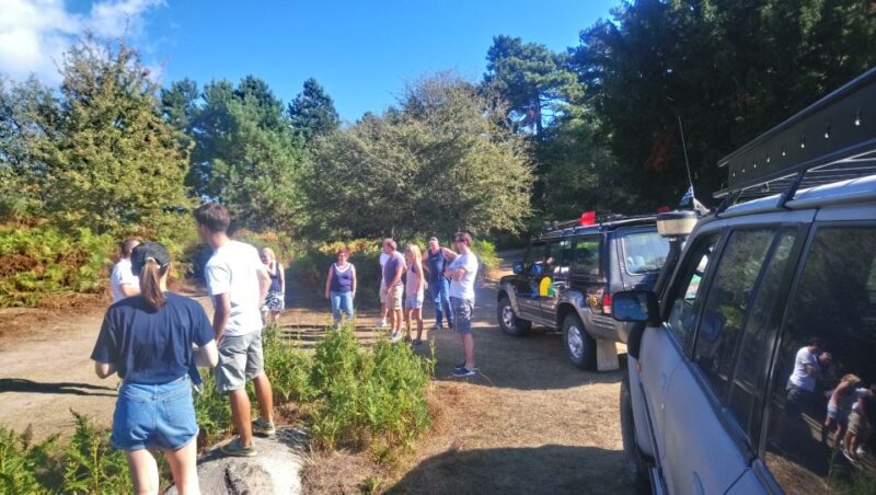 From Sithonia: Private 4x4 Off-Road Safari in Halkidiki - Navigating Through Pine Forests to Parthenonas