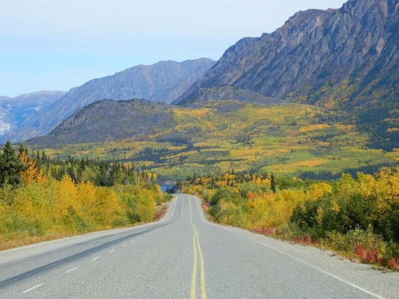 From Skagway: Skagway City & White Pass Summit Guided Tour - Explore Skagway’s History and Natural Beauty in One Tour