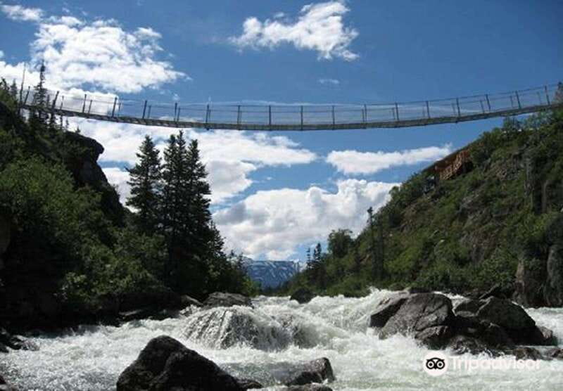 From Skagway: White Pass and Yukon Suspension Bridge Tour - Scenic Drive into the Yukon on the Klondike Highway