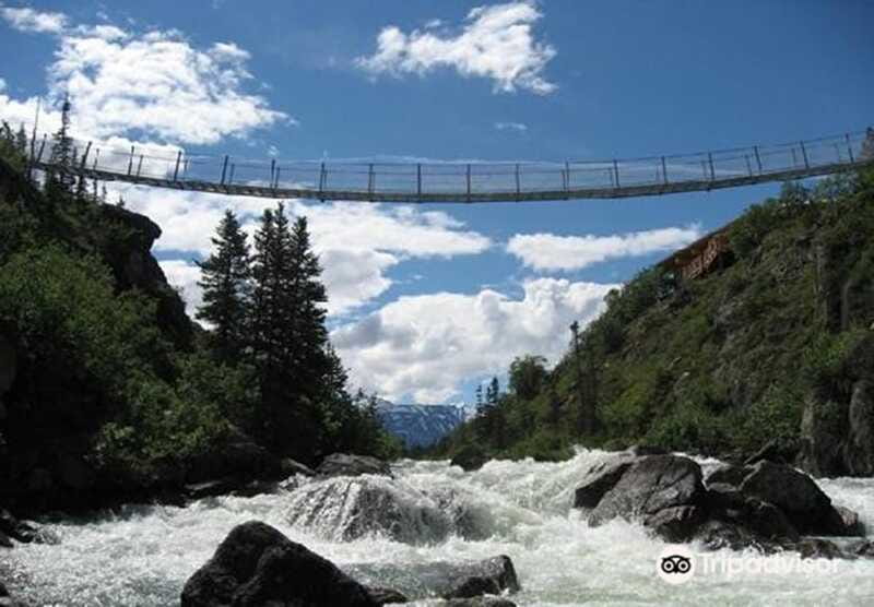 From Skagway: White Pass and Yukon Suspension Bridge Tour - Exploring the Outdoor Interpretive Museum