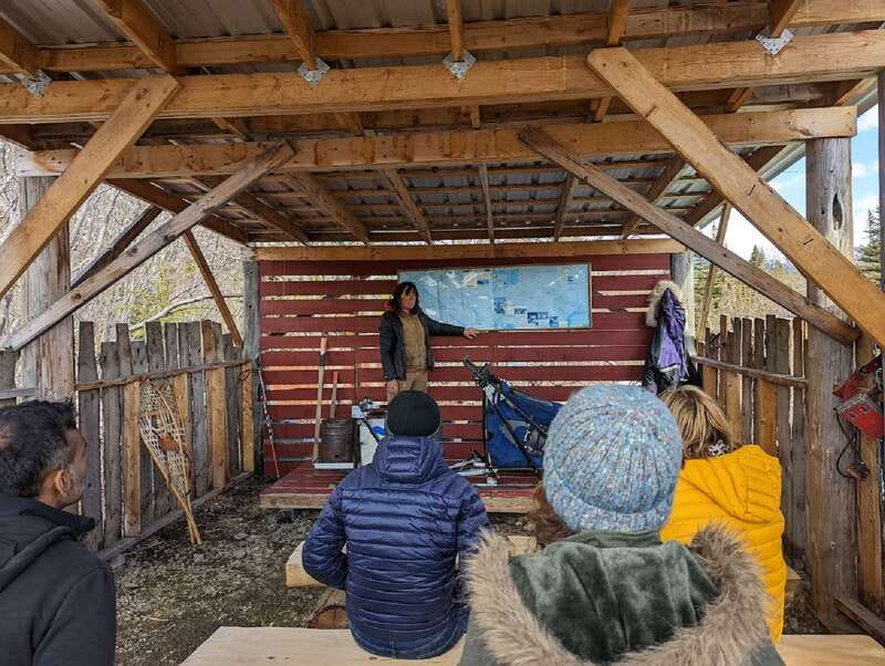 From Skagway: Yukon Sled Dog Mushing & White Pass Combo - The Summer Dog Sled Cart Ride Experience