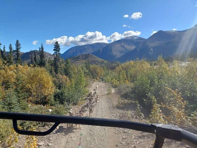 From Skagway: Yukon Sled Dog Mushing & White Pass Combo - Scenic Stops and Photo Opportunities Along the Route