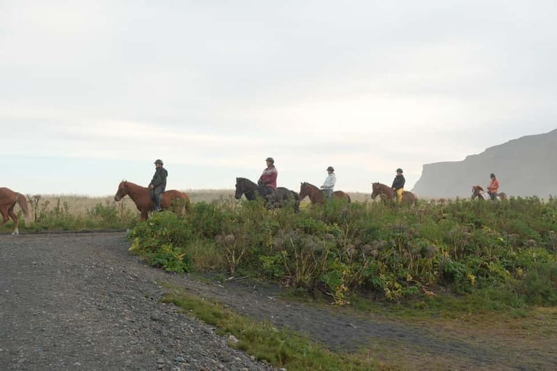 From Skarfabakki: South Coast Tour w/ Solheimajokull Glacier - Exploring Reynisfjara Black Sand Beach and Reynisdrangar Sea Stacks