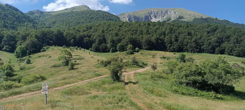 From Skopje: Ohrid and Magaro Peak Hike on Galicica Mountain - Scenic Views from Magaro Peak and Rich Biodiversity