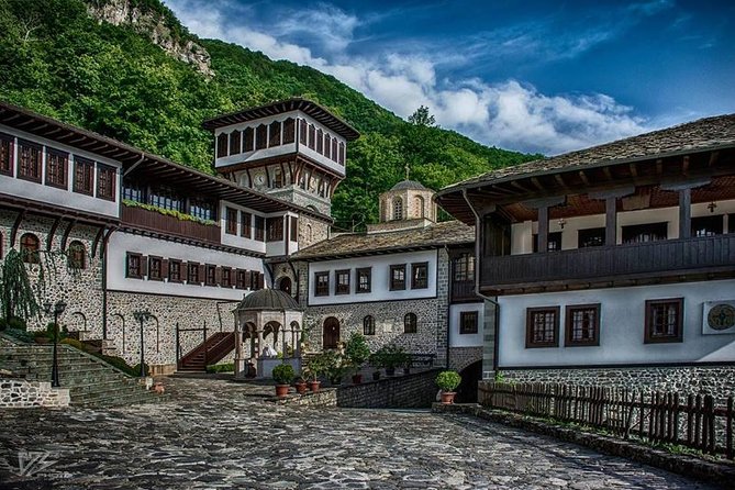 From Skopje private tour of National Park Mavrovo and Ohrid - Practical Aspects: Comfort and Customization