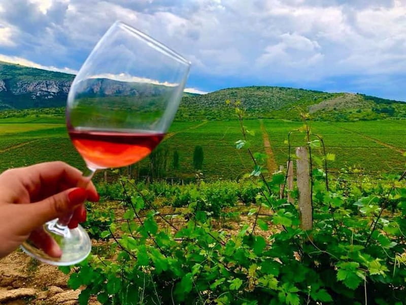 From Skopje: Private Tour of Sopot Winery with Lunch - Key Points