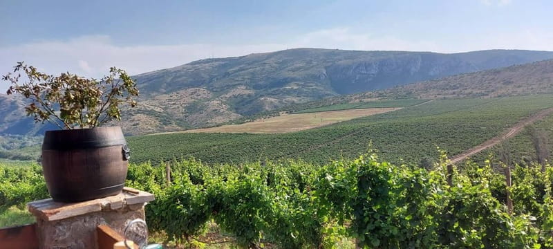 From Skopje: Private Tour of Sopot Winery with Lunch - Overview of the Sopot Winery Private Tour from Skopje