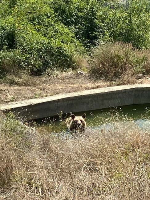 From Skopje: Prizren and Pristina, opt Kukes, Albania, a day - Optional Visit to Underground Bunkers in Kukes, Albania