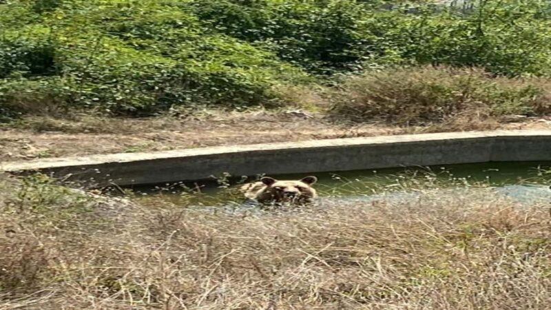 From Skopje to Pristina, Kosovo opt Gazimestan, Mitrovica.. - Practical Details and Logistics