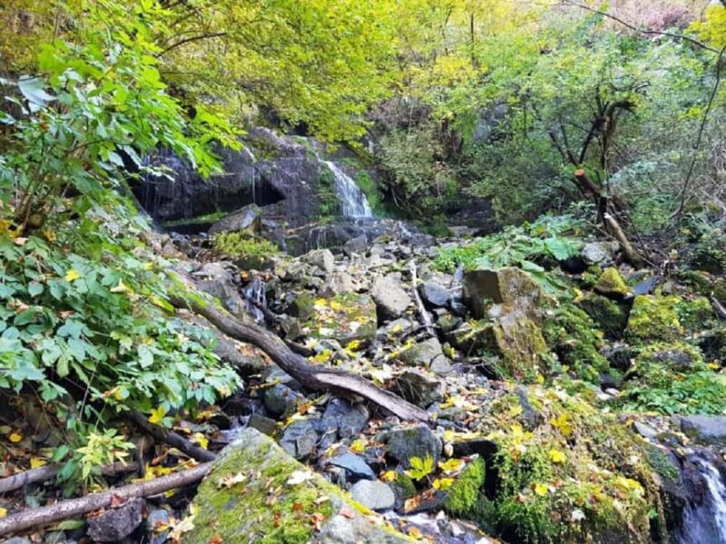 From Sofia: Alekov Waterfall & Dragalevski Monastery Tour - Discover Vitosha Natural Park on a Guided Tour from Sofia