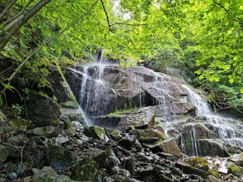 From Sofia: Alekov Waterfall & Dragalevski Monastery Tour - What Sets This Tour Apart from Similar Activities