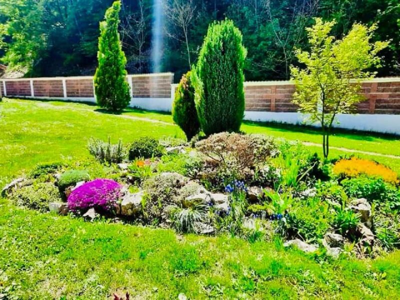 From Sofia: Bankya Royal Baths, Monastery and Trails Tour - Rejuvenate in the Royal Baths’ Mineral Waters