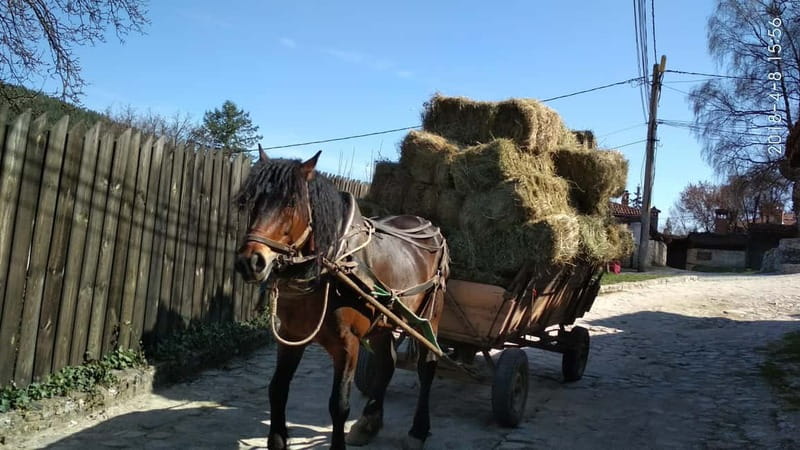From Sofia: Koprivshtitsa, Starosel, and Wine Tasting Tour - The Thracian Tomb: Architecture and Significance