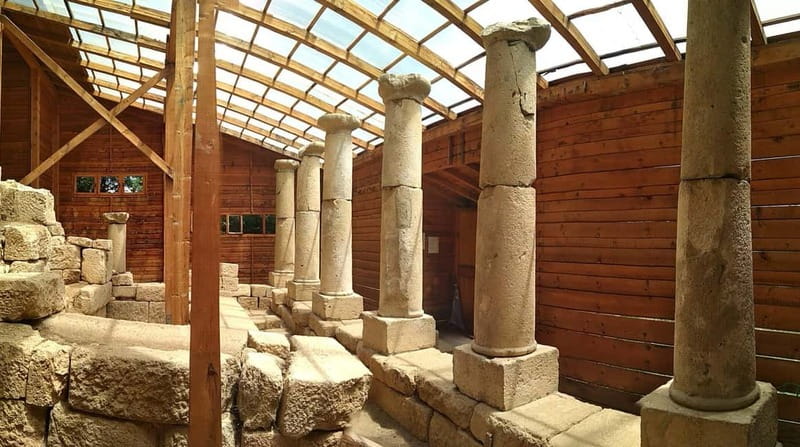 From Sofia: Koprivshtitsa, Starosel, and Wine Tasting Tour - Logistics and Travel Experience