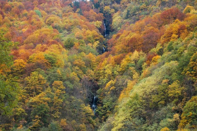 From Sofia: Rila Monastery & Boyana Church Day Tour - Key Points