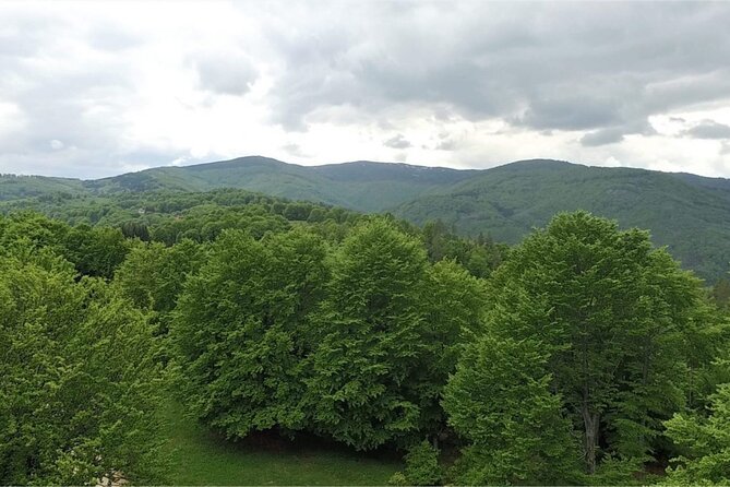 From Sofia: Serbia and Macedonia Trip - Macedonian Lunch with Local Flavors