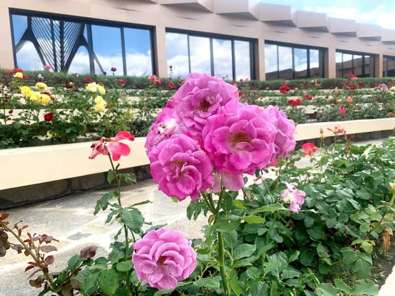 From Sofia: The Rose Valley & Buzludzha Monument 12 hrs Tour - Frequently Asked Questions