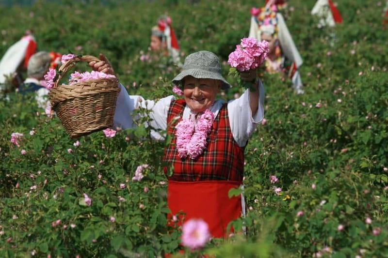 From Sofia: The Rose Valley & Koprivshtitsa 12 hrs Day Tour - Embarking on the Bulgarian Rose Valley & Koprivshtitsa Tour