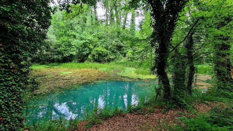 From Sofia: Zlatna Panega River Hike with Springs Visit - Visiting the Zlatna Panega Spring and Lakes