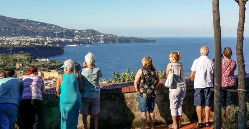 From Sorrento: Amalfi and Positano Full-Day Tour by Van LM - Discover the Amalfi Coast in Comfort and Style