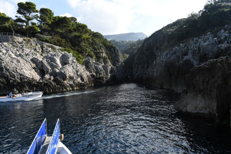 From Sorrento: Day Trip to Capri with Blue Grotto - Who Will Enjoy This Tour the Most