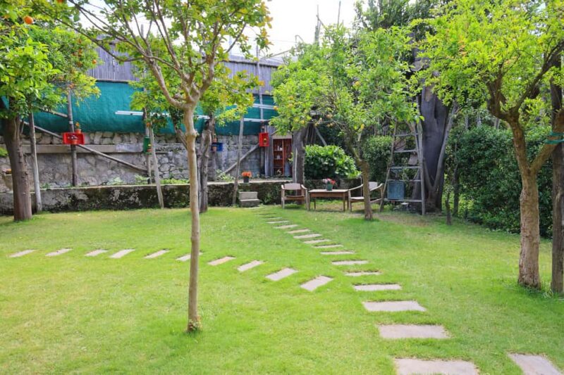 From Sorrento to Meta: cook with a local family and enjoy the garden!! - Introduction to a Local Family’s Cooking Experience in Sorrento