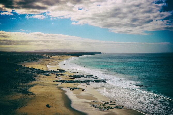 From South Fuerteventura 4x4 Tour Corralejo Dunes and El Cotillo - Learning about Aloe Vera at a Local Farm