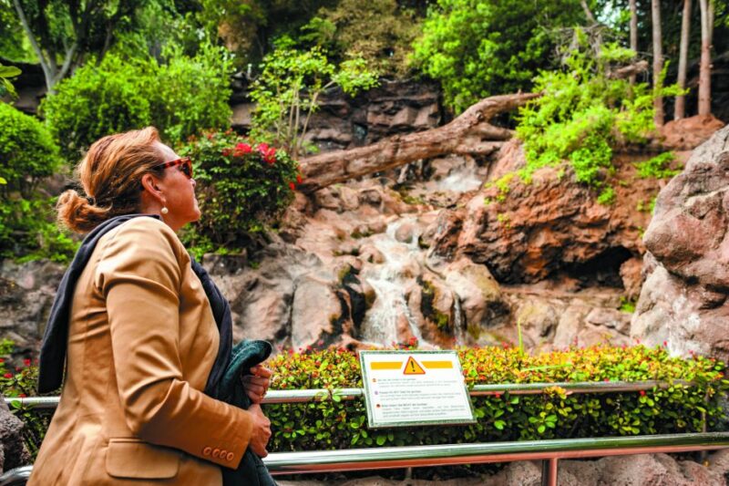 From South Tenerife: Loro Park Zoo Ticket & Hotel Transfers - Practical Tips for Visiting Loro Parque