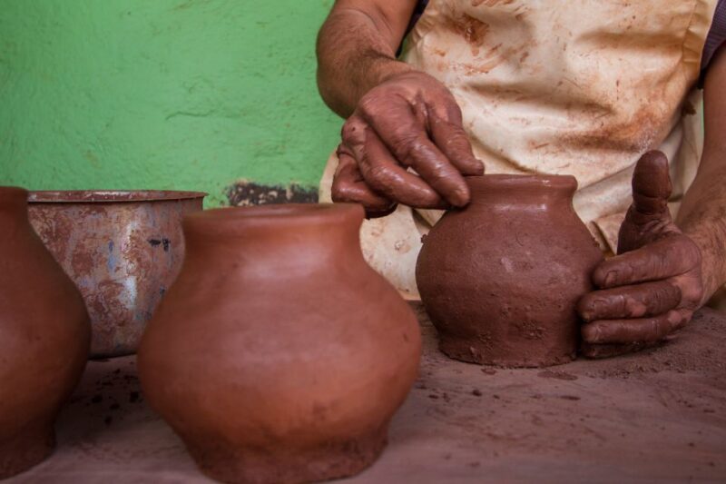 From South Tenerife: VIP Gomera Tour - Practicalities: Meeting Points and Accessibility