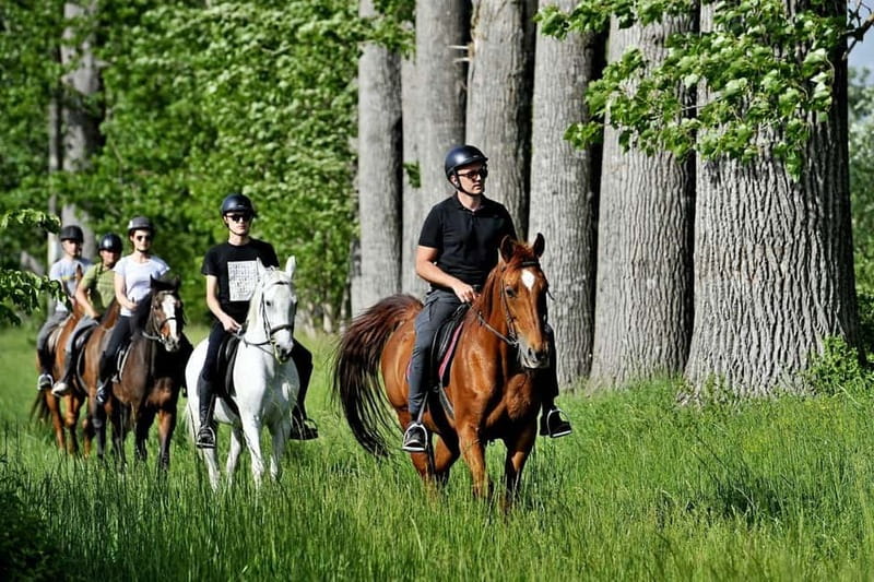 From Split: All-Inclusive Horse Riding and Jeep Exploration - Practical Considerations and Limitations