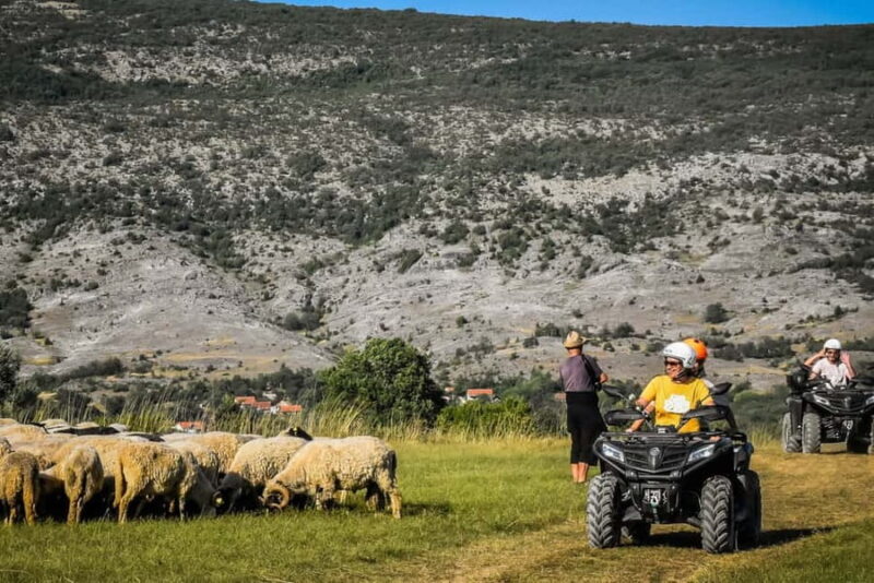 From Split: ATV Dinara Mountain Tour with Picnic - Discovering Remote Villages and Shepherds’ Flocks