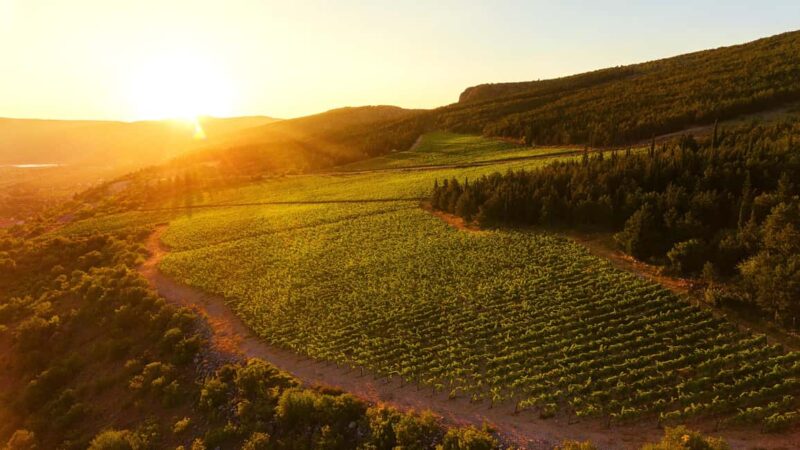 From Split: Blue and Red Lakes and Winery Grabovac Tour - Explore the Unique Beauty of the Blue and Red Lakes in Croatia