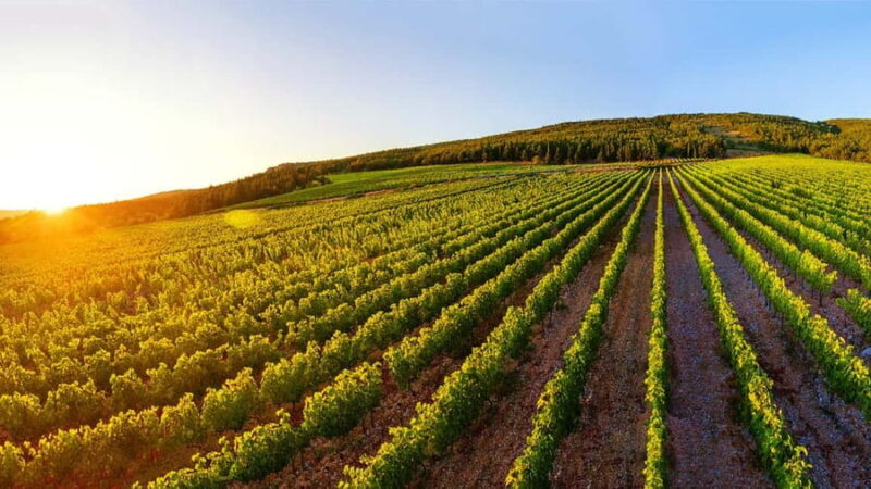 From Split: Blue and Red Lakes and Winery Grabovac Tour - Practical Details: Meeting Points and What to Bring