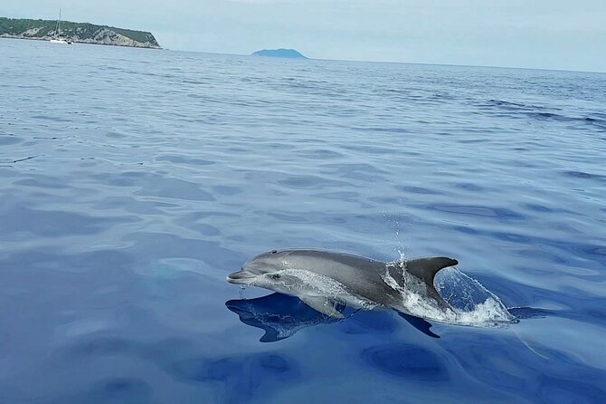 From Split: Half-Day Blue Lagoon and 3 Islands Boat Tour - Comfortable Group Sizes and Meeting Arrangements