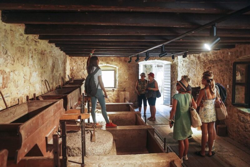 From Split: Krka Waterfalls, Food & Wine Tasting Tour - Visiting Plastovo Village and Local Wine Tasting