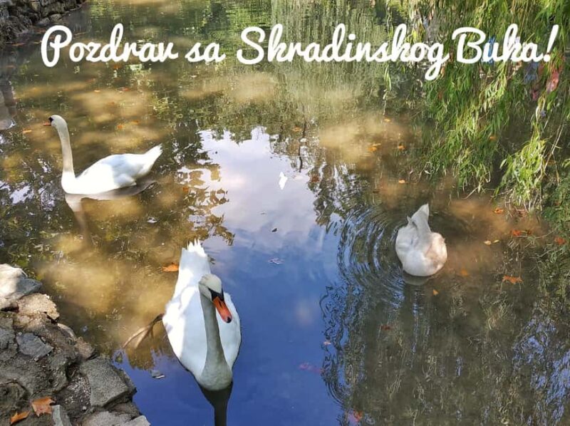 From Split: Krka Waterfalls Guided Tour & Ticket Discount - Booking Details and Pricing for the Park Entry